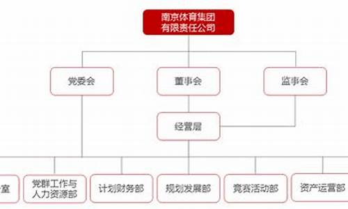 体育赛事组织公司_集团体育赛事组织实施管理办法